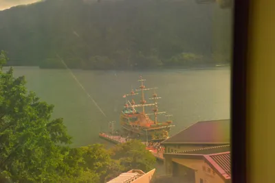 DSC_3678 (Large).JPG